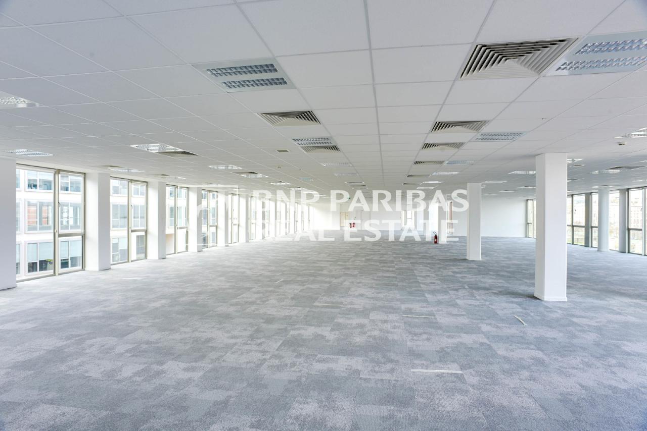 Bureau Saint-Denis 6392m² Location bureau Saint-Denis Seine-Saint-Denis OLBUR2106966 2